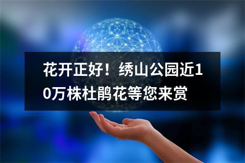 花开正好！绣山公园近10万株杜鹃花等您来赏