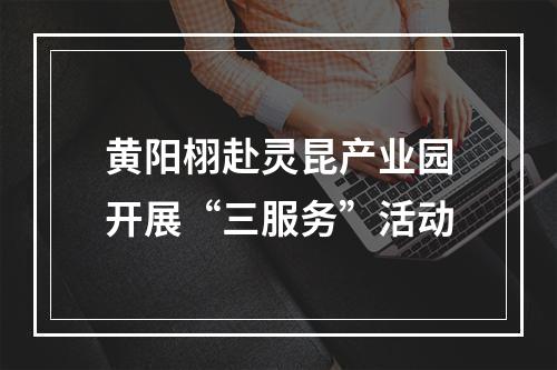 黄阳栩赴灵昆产业园开展“三服务”活动