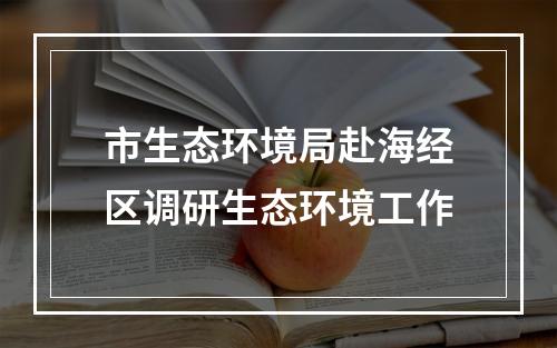 市生态环境局赴海经区调研生态环境工作