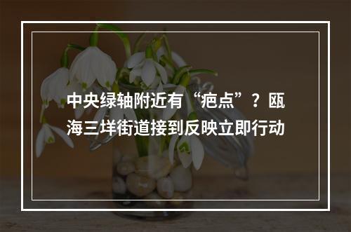 中央绿轴附近有“疤点”？瓯海三垟街道接到反映立即行动