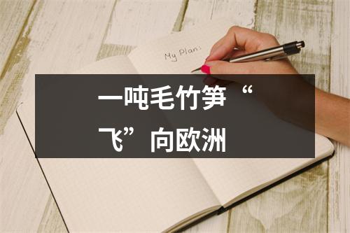 一吨毛竹笋“飞”向欧洲