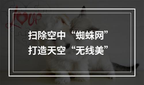 扫除空中“蜘蛛网” 打造天空“无线美”