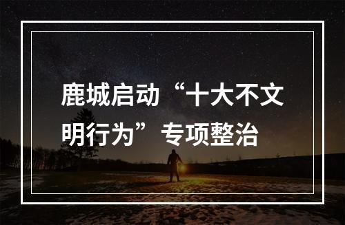鹿城启动“十大不文明行为”专项整治