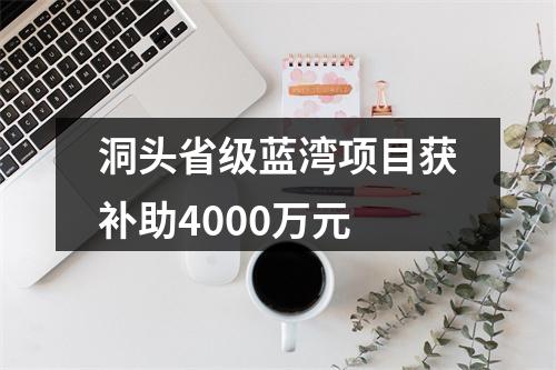 洞头省级蓝湾项目获补助4000万元