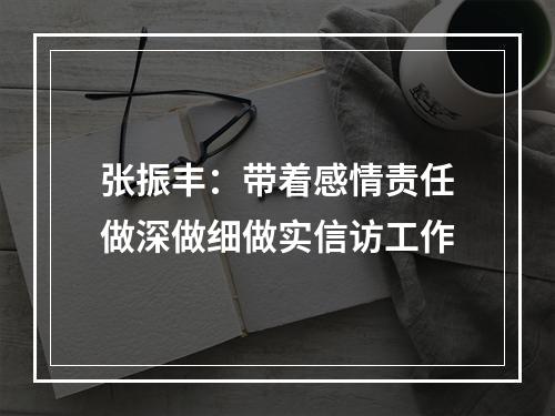 张振丰：带着感情责任做深做细做实信访工作