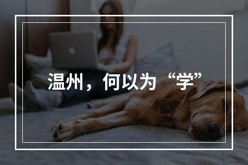 温州，何以为“学”
