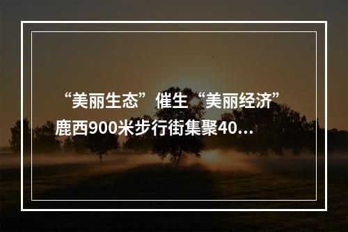 “美丽生态”催生“美丽经济” 鹿西900米步行街集聚40多家民宿