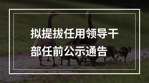 拟提拔任用领导干部任前公示通告
