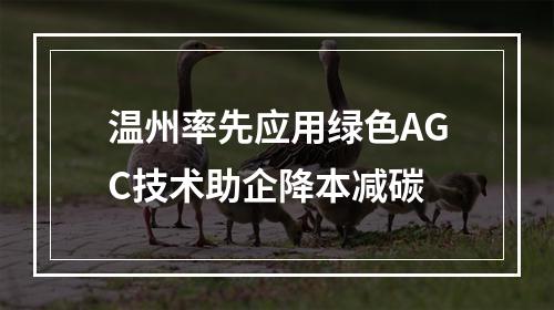 温州率先应用绿色AGC技术助企降本减碳