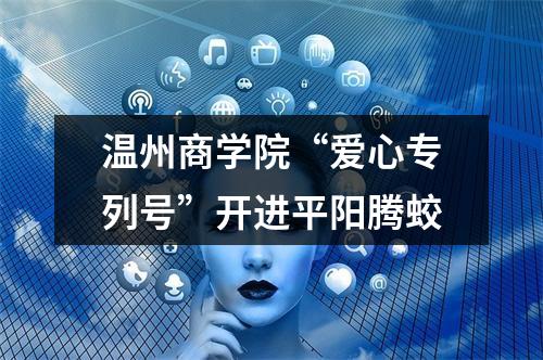 温州商学院“爱心专列号”开进平阳腾蛟
