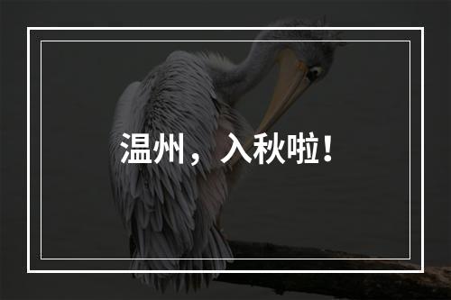 温州，入秋啦！