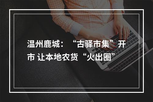 温州鹿城：“古驿市集”开市 让本地农货“火出圈”