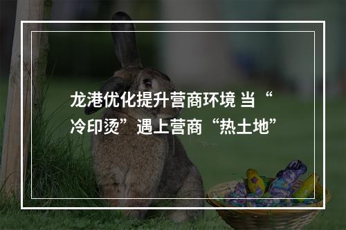 龙港优化提升营商环境 当“冷印烫”遇上营商“热土地”