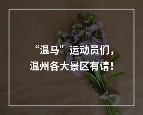 “温马”运动员们，温州各大景区有请！