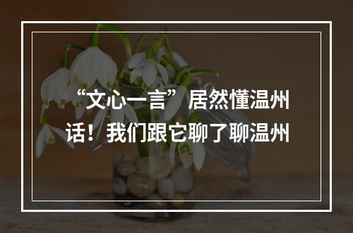 “文心一言”居然懂温州话！我们跟它聊了聊温州