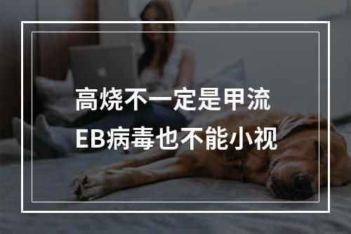 高烧不一定是甲流 EB病毒也不能小视
