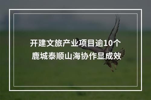 开建文旅产业项目逾10个 鹿城泰顺山海协作显成效