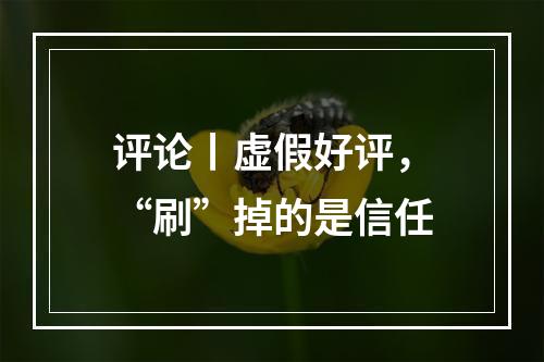 评论丨虚假好评，“刷”掉的是信任