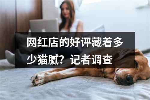 网红店的好评藏着多少猫腻？记者调查