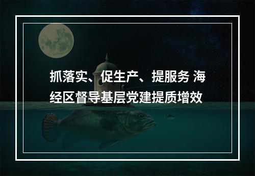 抓落实、促生产、提服务 海经区督导基层党建提质增效
