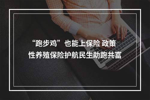 “跑步鸡”也能上保险 政策性养殖保险护航民生助跑共富