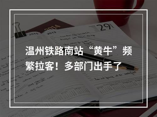 温州铁路南站“黄牛”频繁拉客！多部门出手了