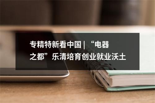 专精特新看中国 | “电器之都”乐清培育创业就业沃土