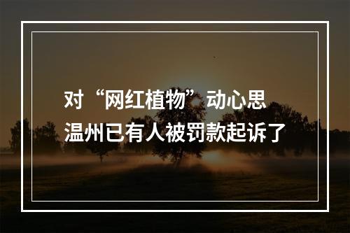 对“网红植物”动心思 温州已有人被罚款起诉了