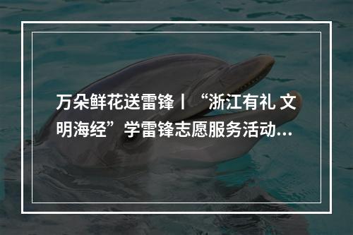 万朵鲜花送雷锋丨“浙江有礼 文明海经”学雷锋志愿服务活动启动