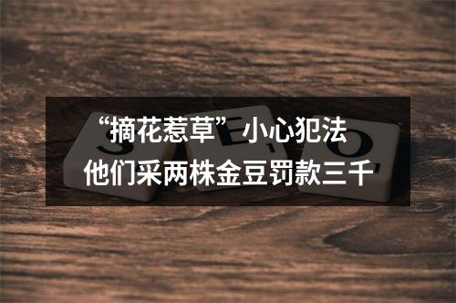 “摘花惹草”小心犯法 他们采两株金豆罚款三千