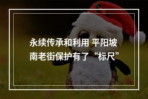永续传承和利用 平阳坡南老街保护有了“标尺”