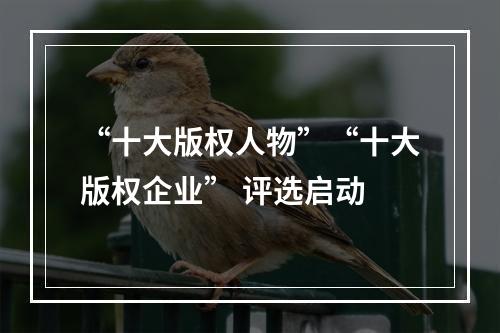 “十大版权人物”“十大版权企业” 评选启动