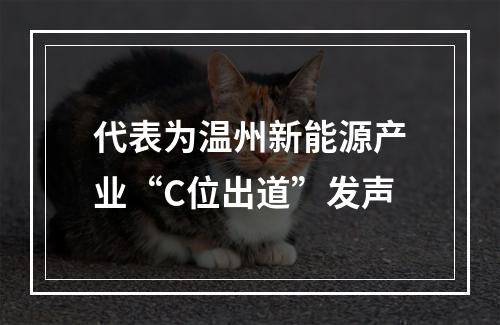 代表为温州新能源产业“C位出道”发声