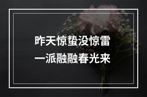 昨天惊蛰没惊雷 一派融融春光来
