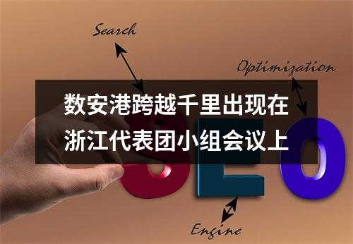 数安港跨越千里出现在浙江代表团小组会议上
