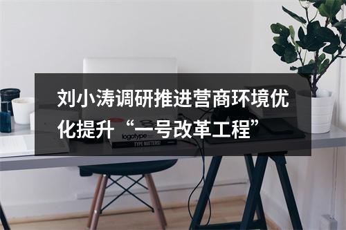 刘小涛调研推进营商环境优化提升“一号改革工程”