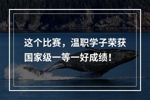 这个比赛，温职学子荣获国家级一等一好成绩！