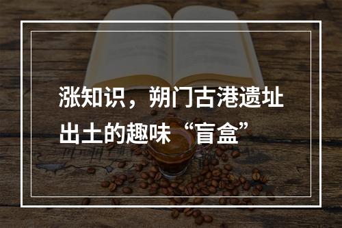 涨知识，朔门古港遗址出土的趣味“盲盒”