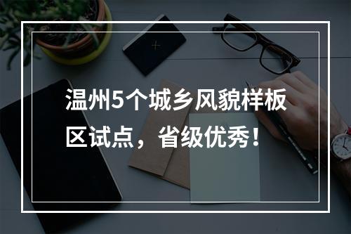 温州5个城乡风貌样板区试点，省级优秀！