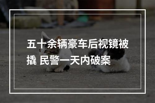 五十余辆豪车后视镜被撬 民警一天内破案