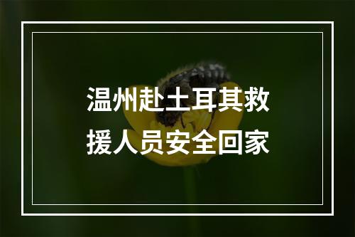 温州赴土耳其救援人员安全回家