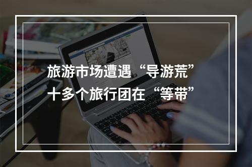 旅游市场遭遇“导游荒” 十多个旅行团在“等带”