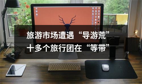 旅游市场遭遇“导游荒” 十多个旅行团在“等带”