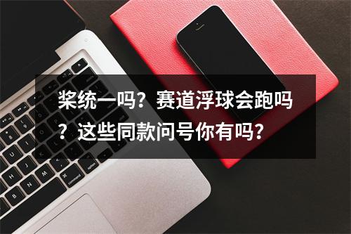 桨统一吗？赛道浮球会跑吗？这些同款问号你有吗？