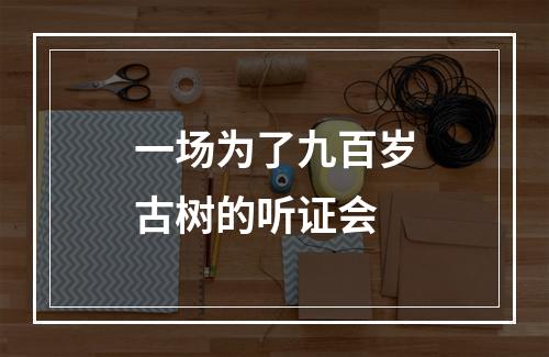 一场为了九百岁古树的听证会