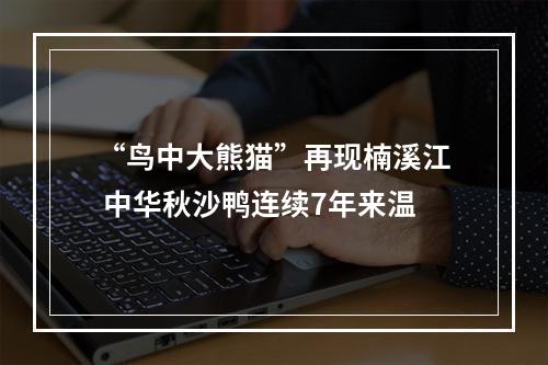 “鸟中大熊猫”再现楠溪江 中华秋沙鸭连续7年来温