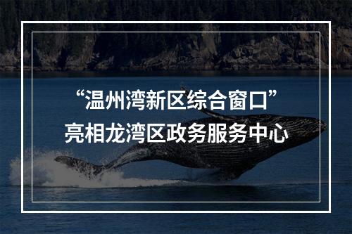 “温州湾新区综合窗口”亮相龙湾区政务服务中心