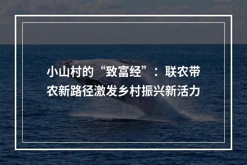 小山村的“致富经”：联农带农新路径激发乡村振兴新活力
