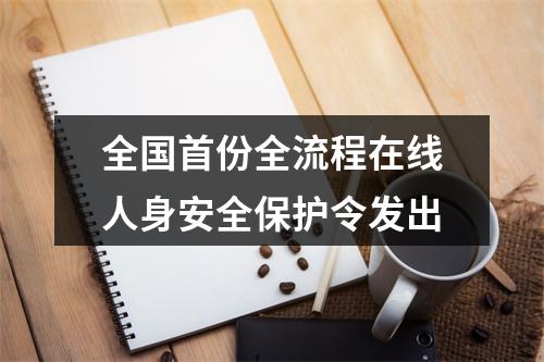 全国首份全流程在线人身安全保护令发出