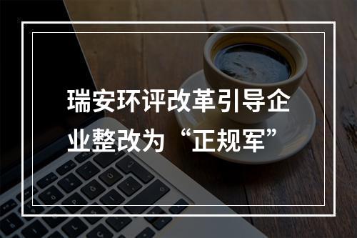 瑞安环评改革引导企业整改为“正规军”